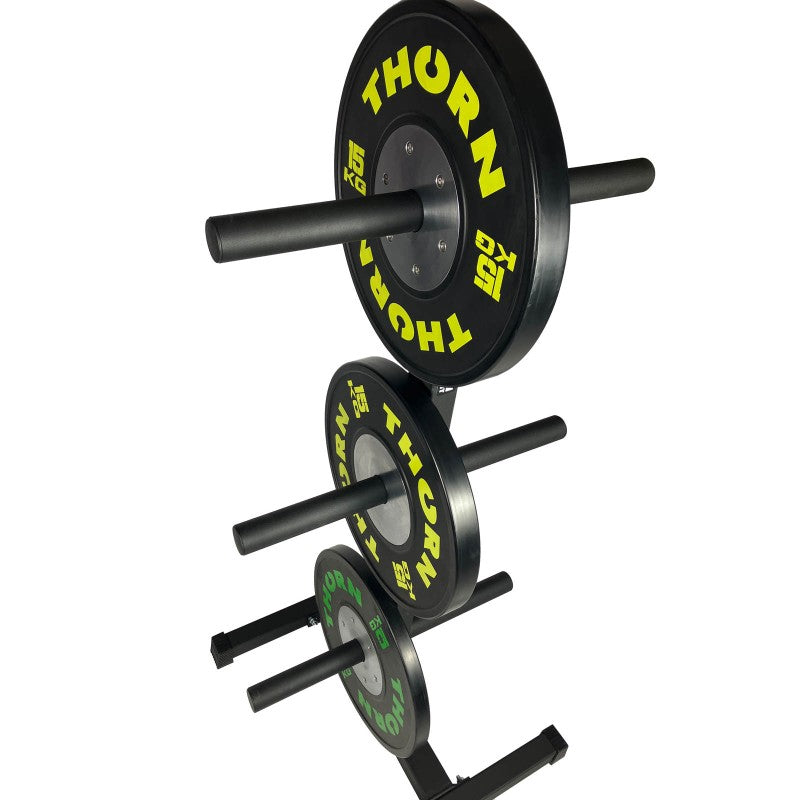 Thorn Suport Vertical Discos